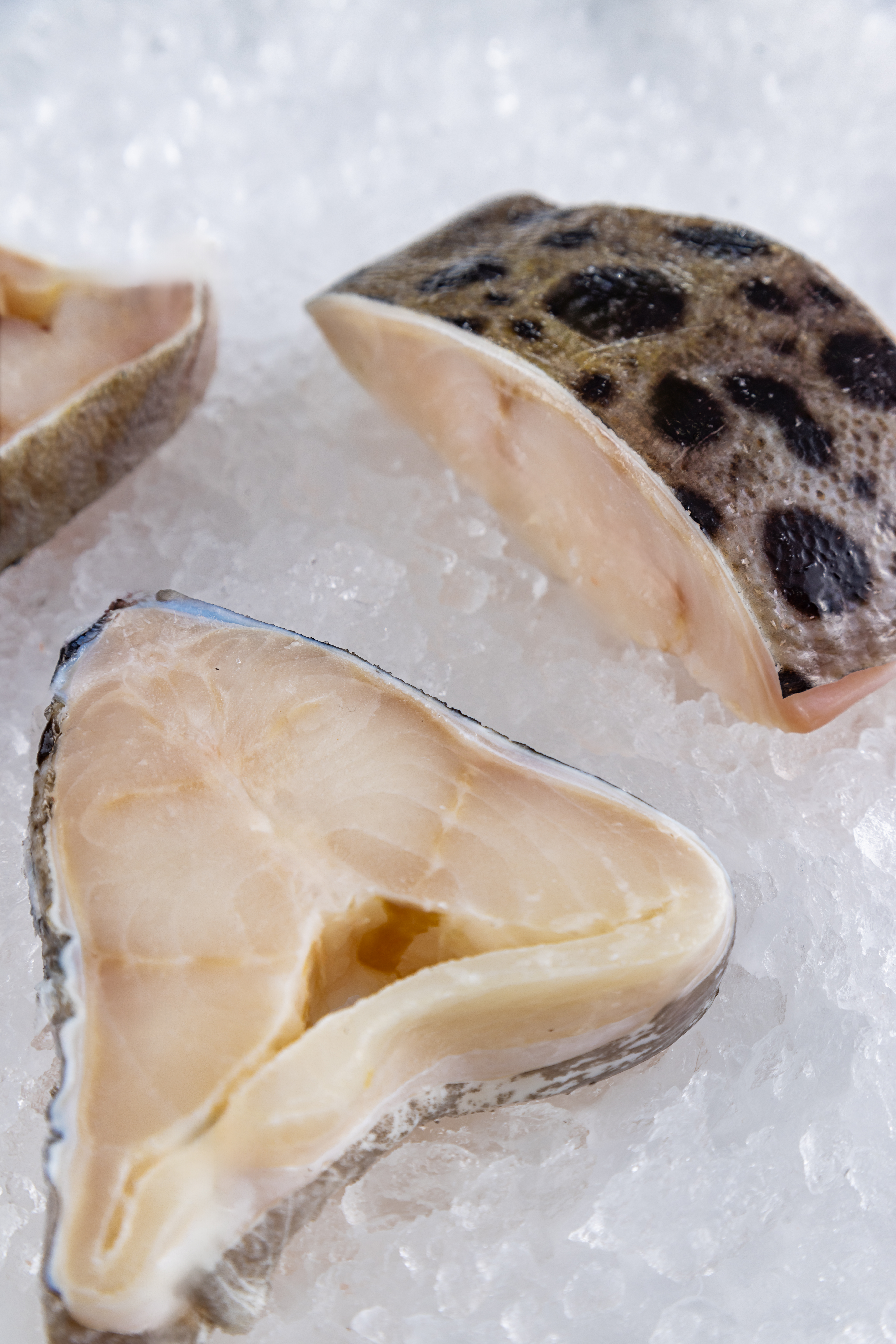 Зубатка пестрая, стейк