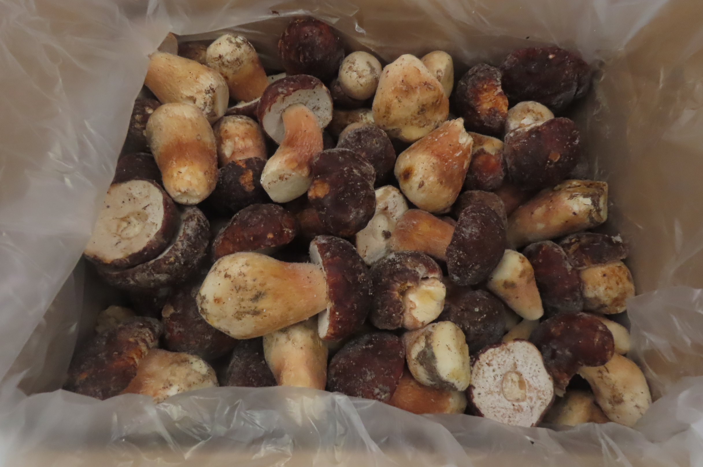 Грибы белые, Экстра, 2-5см