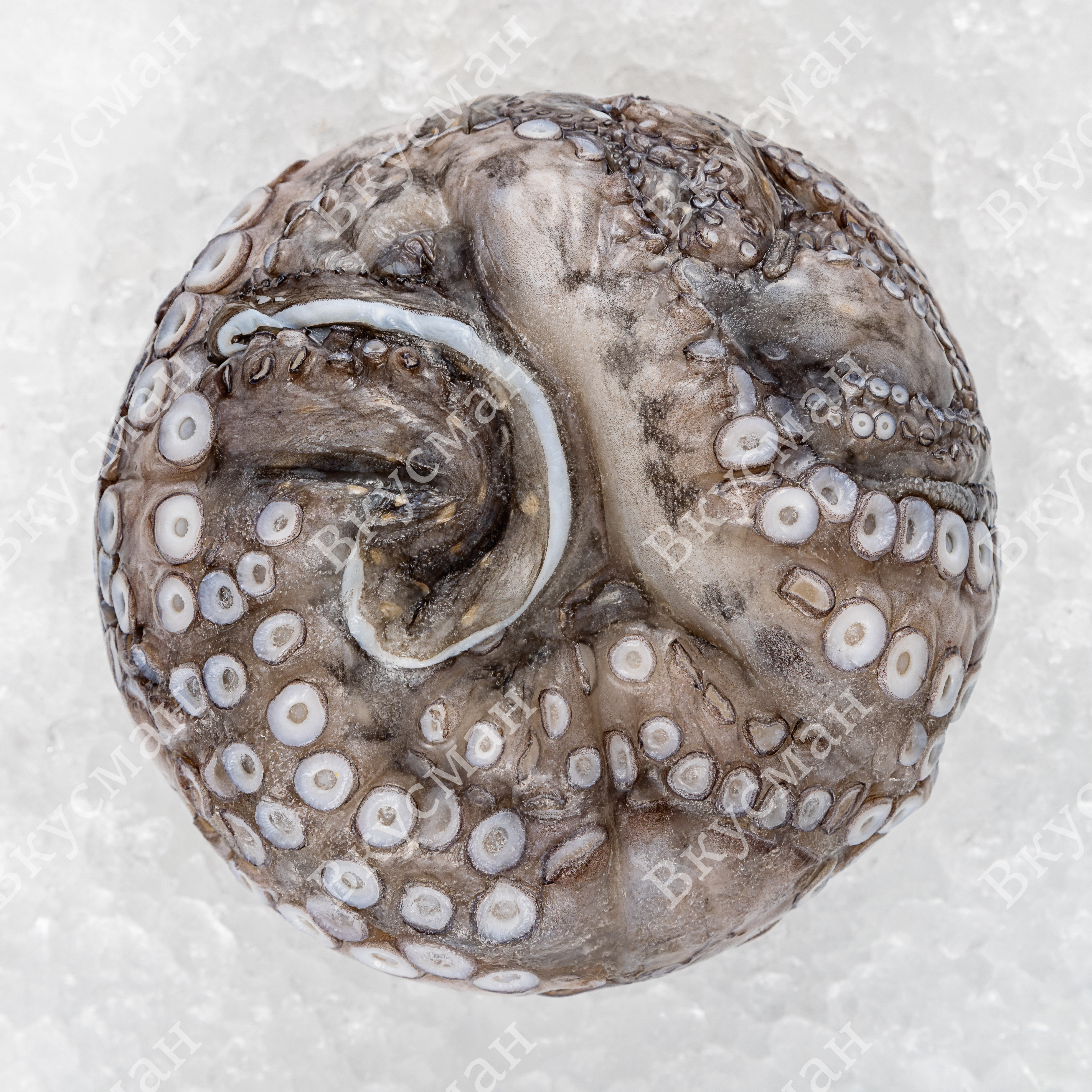 Осьминог, очищ., 3-4 кг