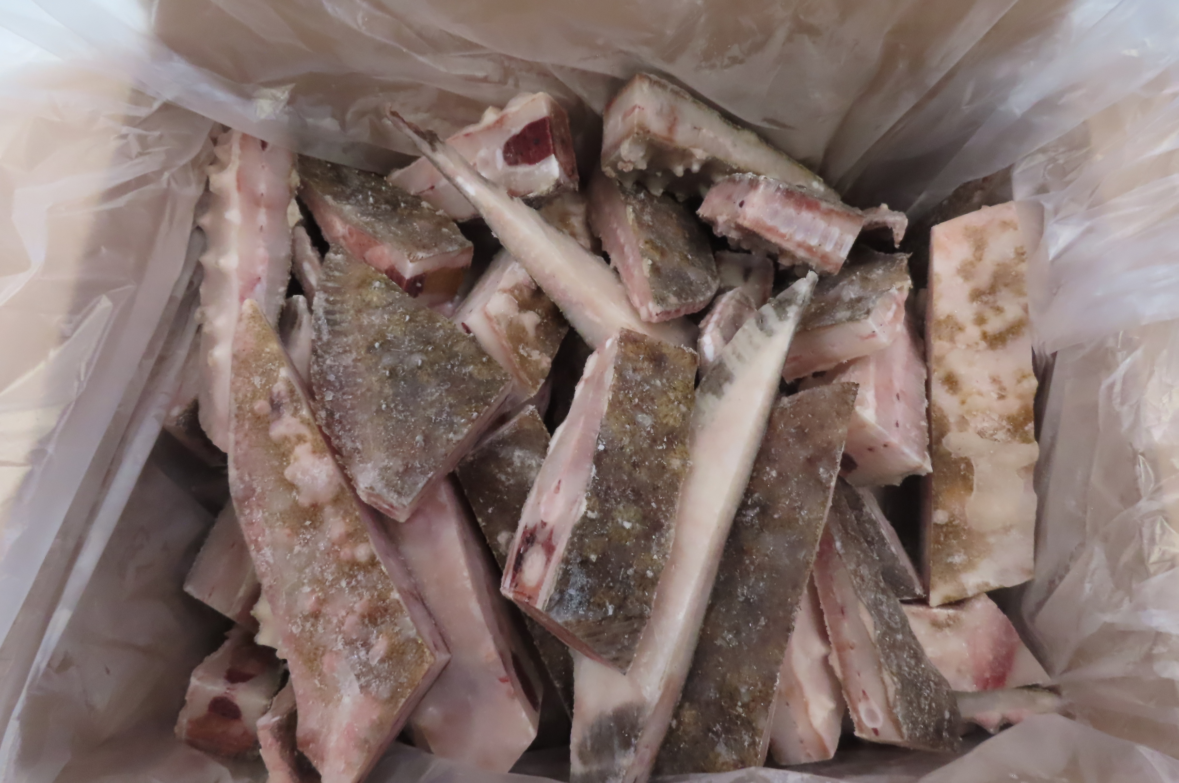 Камбала калкан порционная