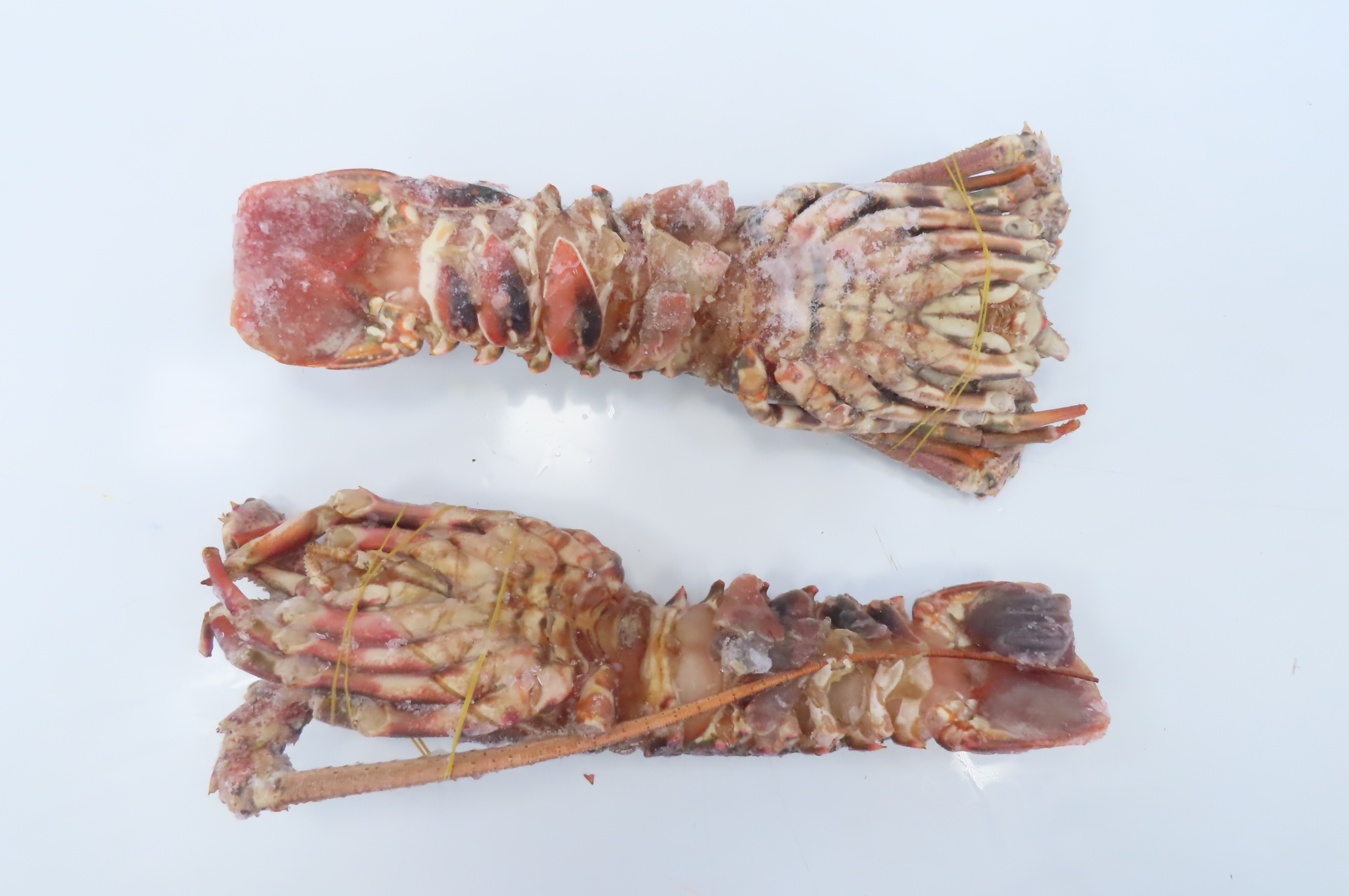 Лангусты, целые, 700-800г